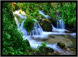 Wodospad, Potok, Kamienie, Roślinność, Paproć