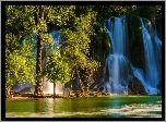 Wodospad, Las, Rzeka, Drzewa