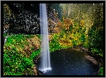 Wodospad South Falls, Las, Drzewa, Skay, Jezioro, Rolinno, Park stanowy Silver Falls, Stan Oregon, Stany Zjednoczone