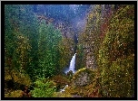 Wodospad, Skały, Las, Wahclella, Oregon