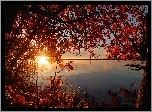 Jezioro, Wschód słońca, Jesień, Drzewa, Gałęzie, Liście