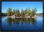 Wysepka, Drzewa, Jezioro, Loon, Kalifornia