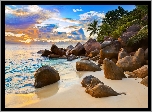 Szeszele, Wyspa, Piękna, Plaża, Kamienie, Palmy, Ocean Indyjski