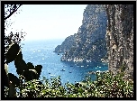 Wyspa, Capri, Morze, Kaktusy