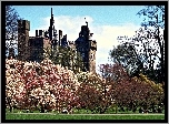 Zamek, Cardiff, Walia, Park, Kwitnące, Drzewa