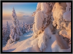 Rosja, Góry Ural, Południowy Ural, Zima, Ośnieżone, Drzewa, Zaspy