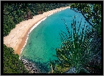 Plaża, New Chums Beach, Wybrzeże, Zatoka, Wainuiototo Bay, Rośliny, Whangapoua, Nowa Zelandia