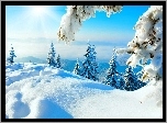 Zima, Śnieg, Choinki, Niebo