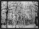 Zima, Droga, Śnieg, Drzewa, Park