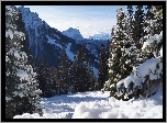Zima, Góry, Alpy, Las,  Drzewa