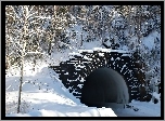 Zima, Śnieg, Tunel. Las, Drzewa