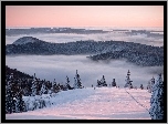 Zima, Śnieg, Drzewa, Mgła, Wzgórza