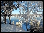 Zima, Rzeka, Drzewa, Śnieg, Rosja