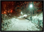 Śnieg, Zima, Park