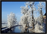Zima, Rzeka, Oszronione, Drzewa