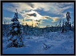 Zima, Śnieg, Wieczór, Drzewa
