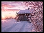 Zima, Śnieg, Chata, Drzewa, Wschód słońca