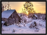 Zima, Śnieg, Domy, Drzewa, Wschód słońca