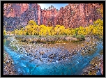 Park Narodowy Zion, Skały, Drzewa, Rzeka, Stan Utah, Stany Zjednoczone