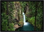 Las, Wodospad Toketee, Park Narodowy Jeziora Kraterowego, Oregon  Stany Zjednoczone