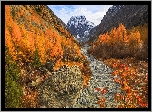 Jesień, Góry Pennińskie, Góra, Mont Collon, Żółte, Drzewa, Kamienie, Arolla, Szwajcaria
