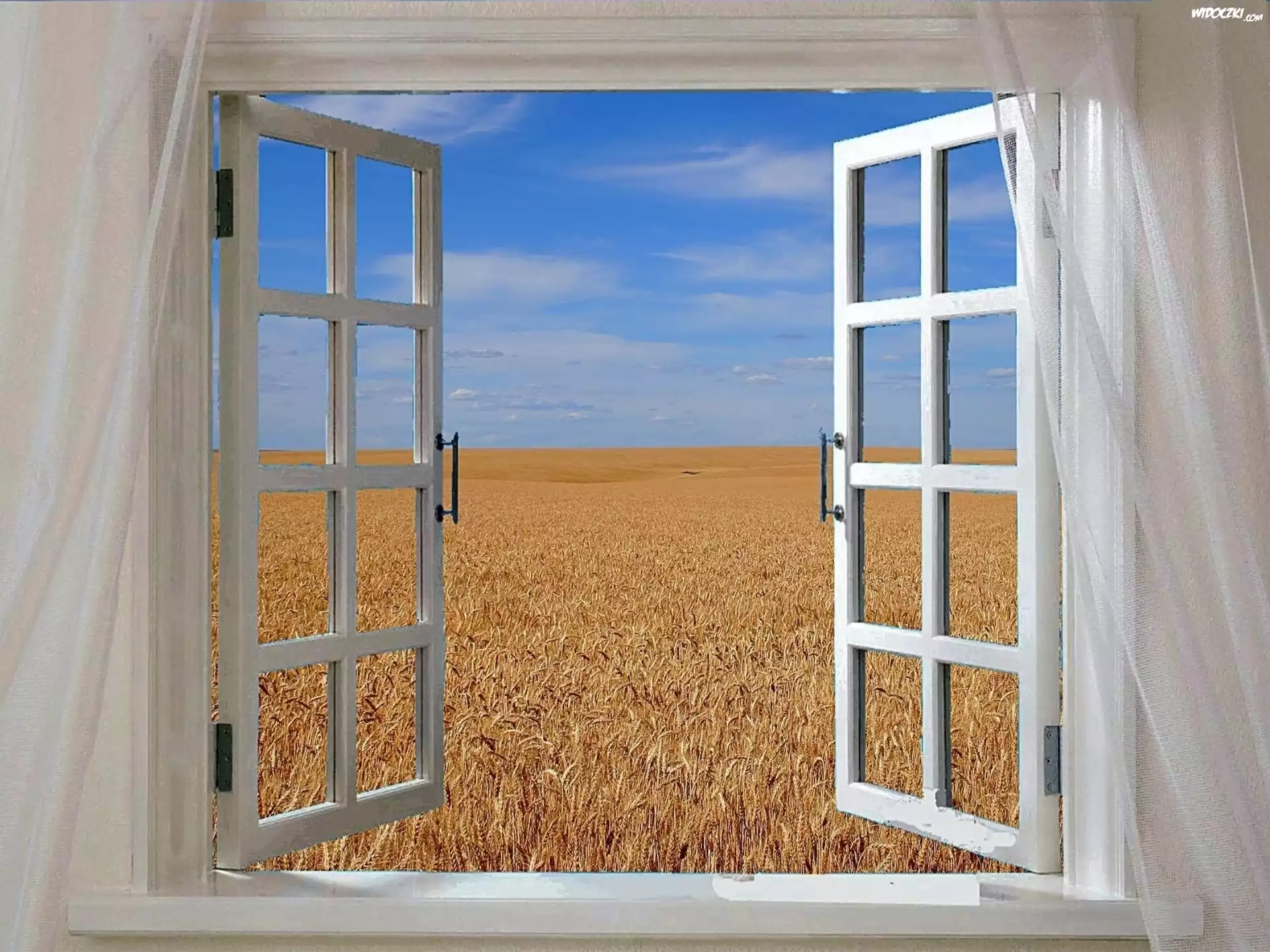 widok-pola-przez-okno