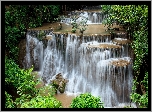 Tajlandia, Prowincja Kanchanaburi, Wodospad Huai Mae Khamin, Drzewa