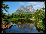 Norwegia, Okręg Nordland, Góry Strandåtinden, Rzeka Strandåga, Drzewa
