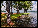 Drzewa, Jezioro, West Point Lake, A.L. Anderson Park, Floryda, Stany Zjednoczone