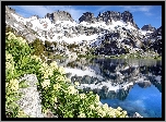 Stany Zjednoczone, Kalifornia, Pustynia Ansel Adams, Góry Ritter, Jezioro Ediza, Odbicie, Kwiaty