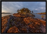 Jezioro Ładoga, Karelia, Rosja, Drzewa, Skały, Wschód słońca