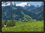 Domy, Dolina, Łąka, Alpy, Góry, Alpy, Oberland Berneński, Kanton Berno, Szwajcaria