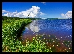Jezioro, Łąka ,Chmury