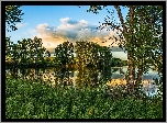 Jezioro, Łąka, Drzewa
