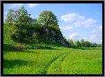 Las, Łąka, Chmury