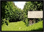 Las, Łąka, Szopa