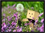 Lato, Łąka, Różowe, Kwiatki, Dmuchawiec, Danbo, Rozmycie