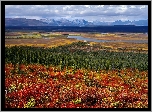 Alaska, Góry, Jeziora, Lasy, Łąki
