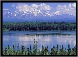 Alaska, Willow, Park, Narodowy