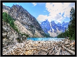 Alberta, Kanada, Góry, Jezioro, Las