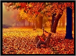 Park, Aleja, Ławki, Drzewa, Liście, Mgła, Jesień