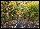 Stany Zjednoczone, Nowy Jork, Central Park, Ławki, Latarnie, Jesień, Alejka