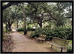 Park, Alejka, Ławeczki