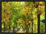 Park, Alejka, Jesień