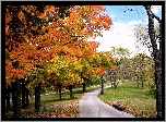 Alejki, Jesień, Park, Opadłe, Liście