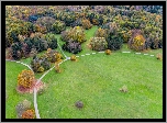 Park, Alejki, Drzewa, Ścieżki, Z lotu ptaka