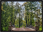 Park, Aleksandrowski, Stary, Kamienny, Most, Ruina, Miasto Puszkin