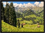 Alpy, Austriackie, Lasy, Łąki, Zagrody