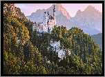 Góry, Alpy, Zamek Neuschwanstein, Drzewa, Skały, Bawaria, Niemcy