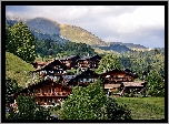 Alpy, Lasy, Łąki, Wioska, Grindelwald